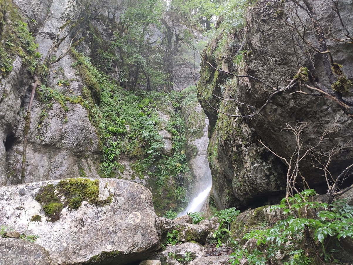 Vue furtive de la C14 "Qui tabasse"