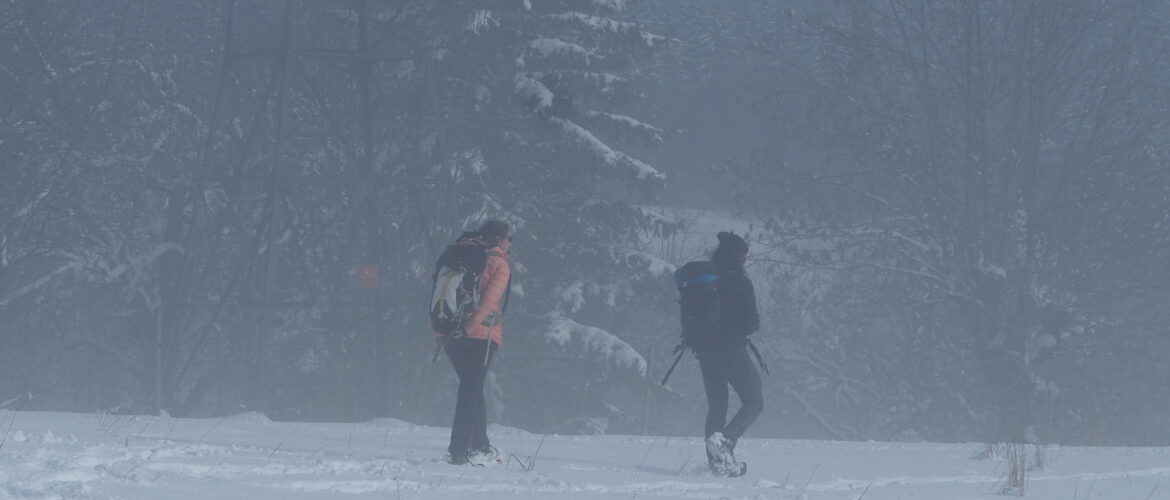 Deux personnes cherchant quelque chose dans la neige, alors que le brouillard se lève.