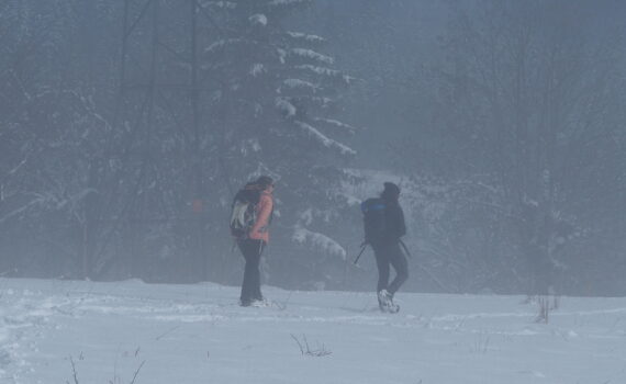 Deux personnes cherchant quelque chose dans la neige, alors que le brouillard se lève.
