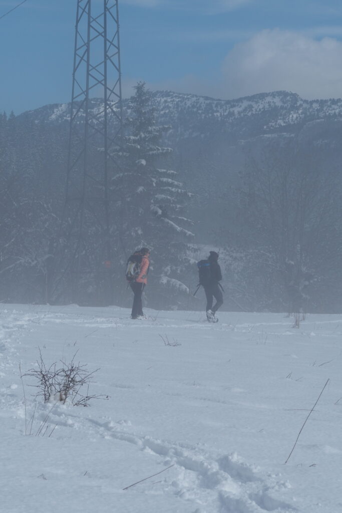 Deux personnes cherchant quelque chose dans la neige, alors que le brouillard se lève.