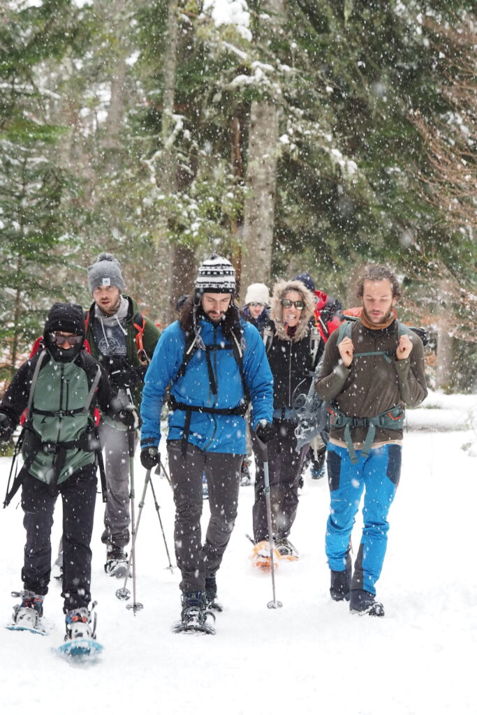 Photo du groupe marchant dans la forêt sous la neige